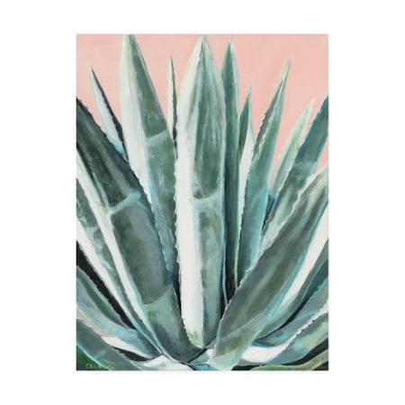 Alana Clumeck 'Laughter Agave' Canvas Art,24x32